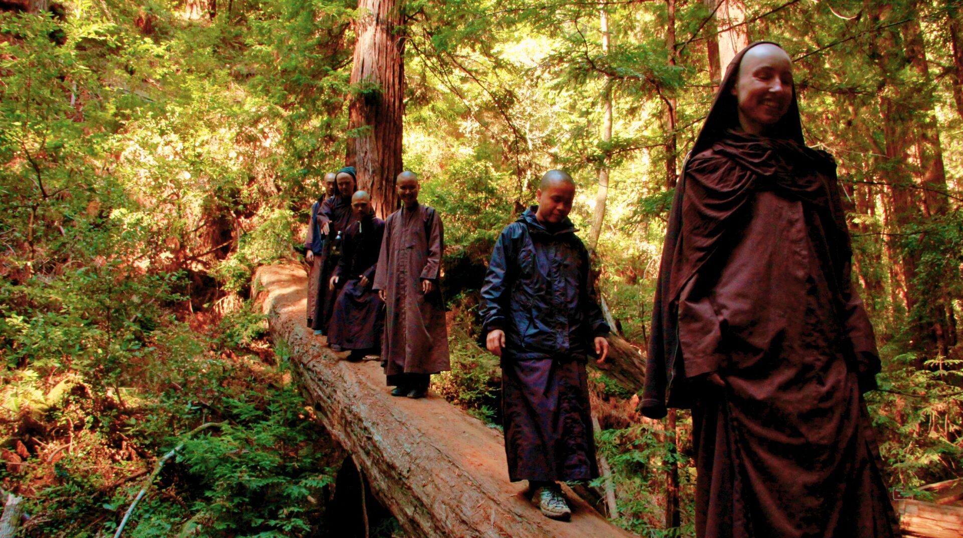 New Research on the Transformative Power of Thich Nhat Hanh’s Teachings