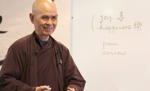 108 - TNH 2010s teaching art of generating happiness handling suffering - PHOTO PVCEB