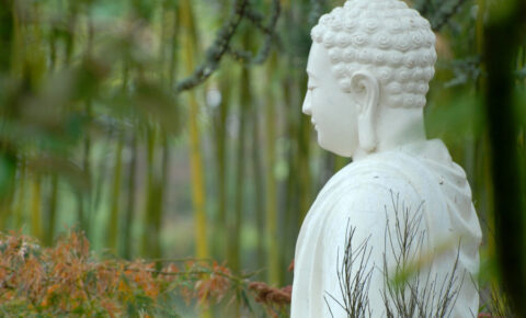 Buddha-UH-1