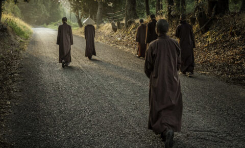 Earth monastics