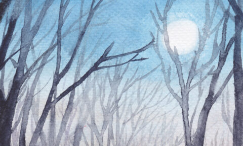 WinterPath_crop