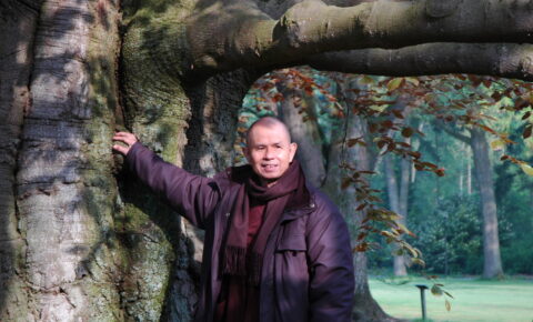 Thay with tree in Germany