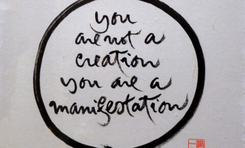 you-are-a-manifestation