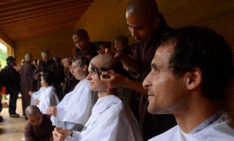novice-ordination