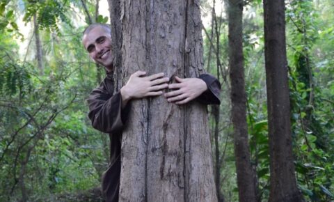 br-phap-the-hug-tree