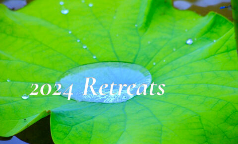 Lotus leaf_2024 Retreats banner