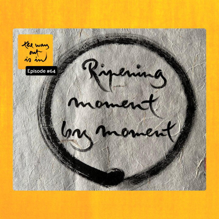 Ripening Moment by Moment (Episode #64)