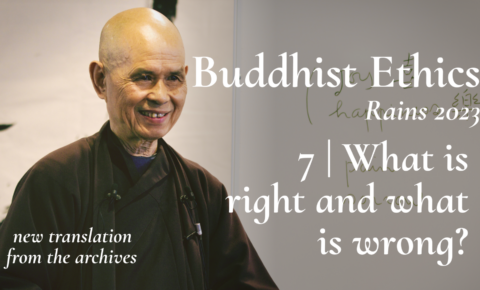 VII Life, Death, Love and Happiness in Daily Life | Thich Nhat Hanh