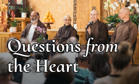 Anger, despair, shame and working with meaningful questions in our meditation | A Plum Village Q&A session - hero shot