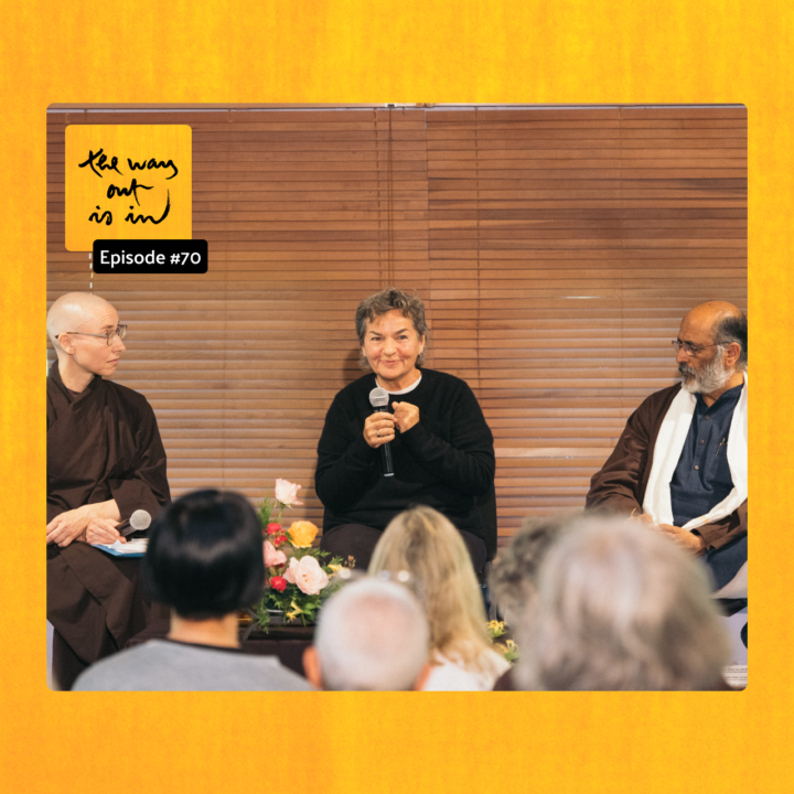 Ancient Path for Modern Times: Active Nonviolence (Episode #70)